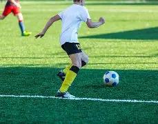 黄金,吸金,领跑同类基,江南体育平台,江南体育官方网站,江南体育登录入口,江南体育app下载