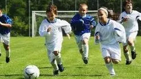 江南体育 产品 084331 sxb