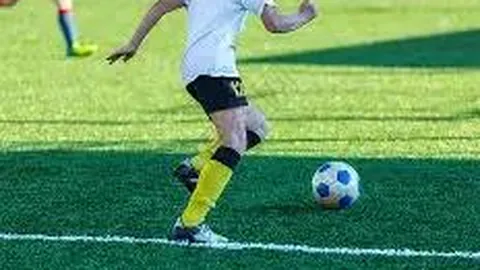 河北篮球豪强携手征战，NBL赛场上演冀地新篇章