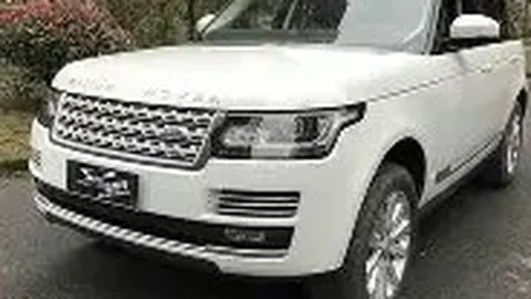 中国中冶突现断崖式下跌，28万投资者焦虑难眠，散户面临抉择